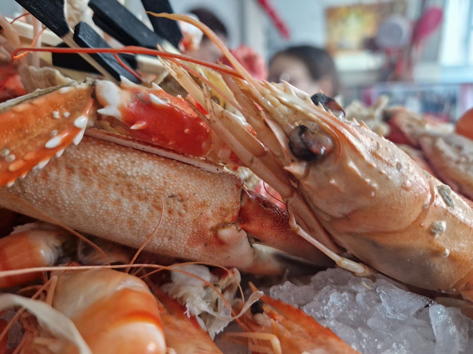 L'Etal de la Poissonnerie des Halles, restaurant à Reims